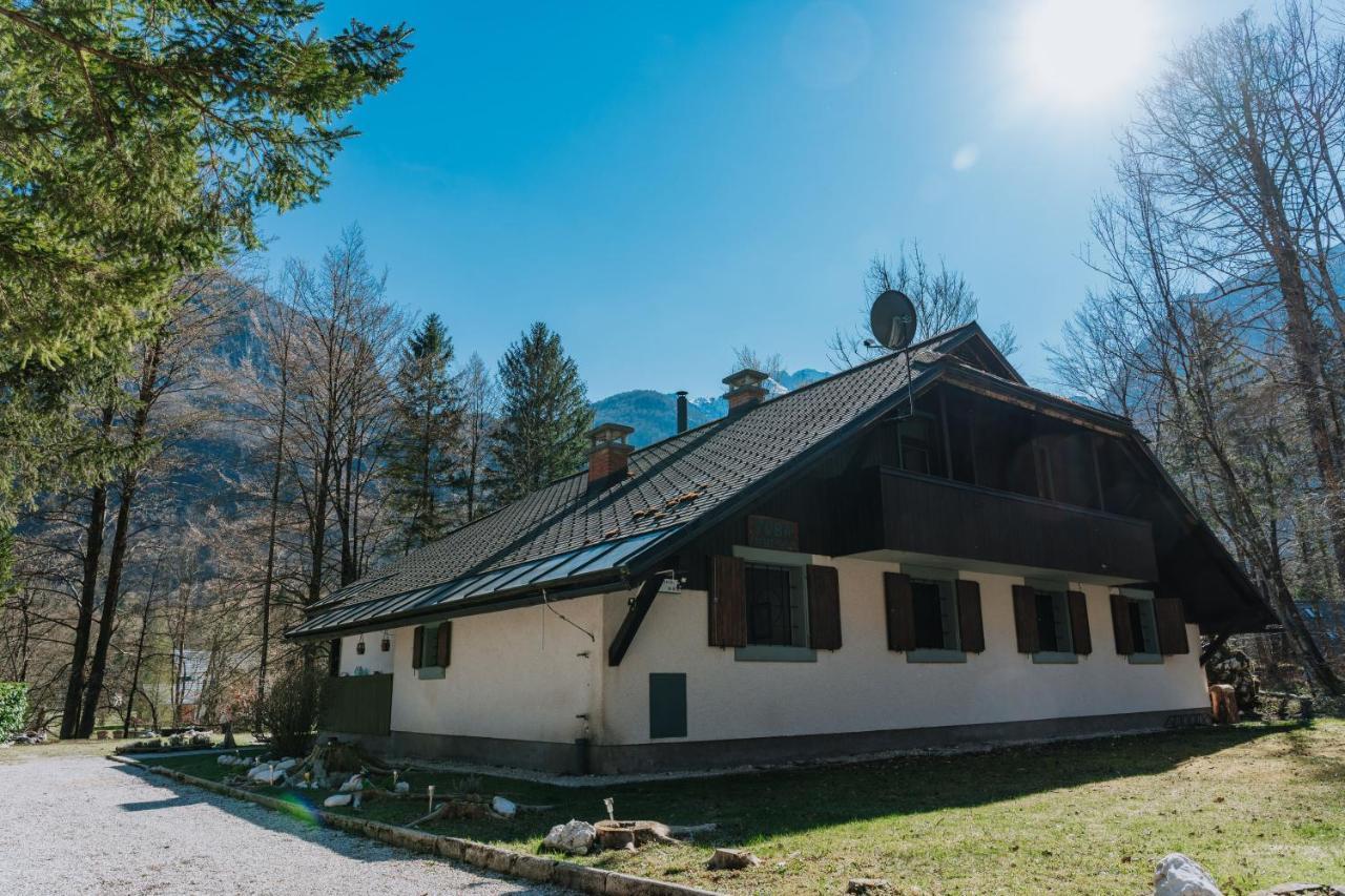 Tuba Apartments Bohinj Extérieur photo