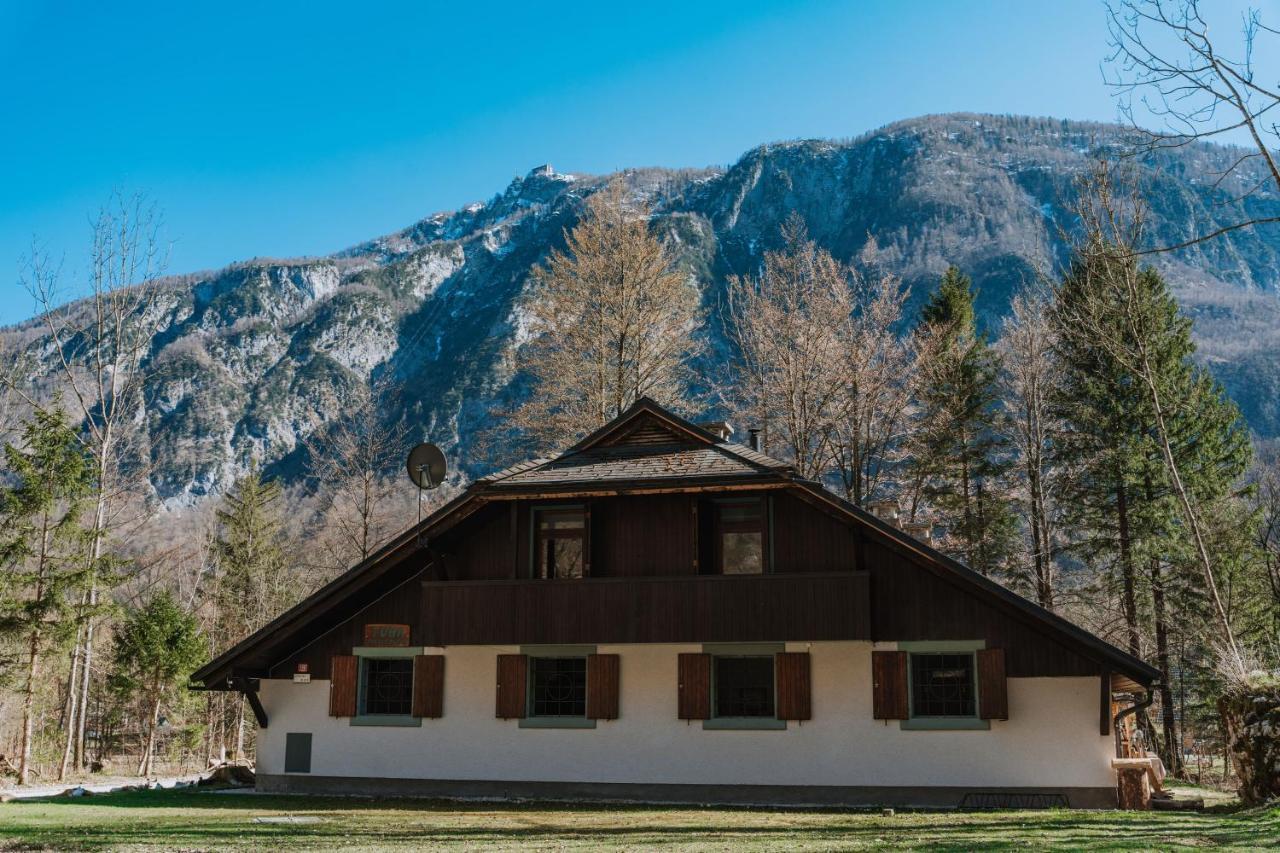 Tuba Apartments Bohinj Extérieur photo